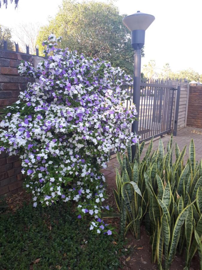 Stew S Room Polokwane Exterior photo